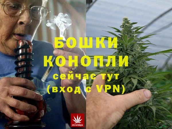 индика Алексеевка