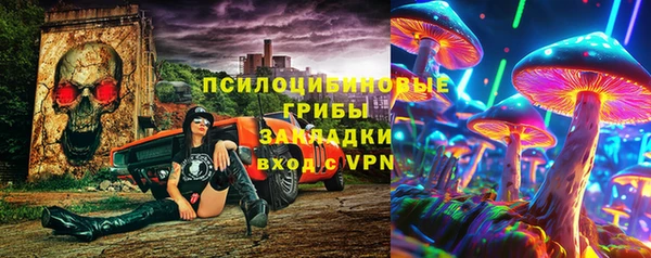 индика Алексеевка